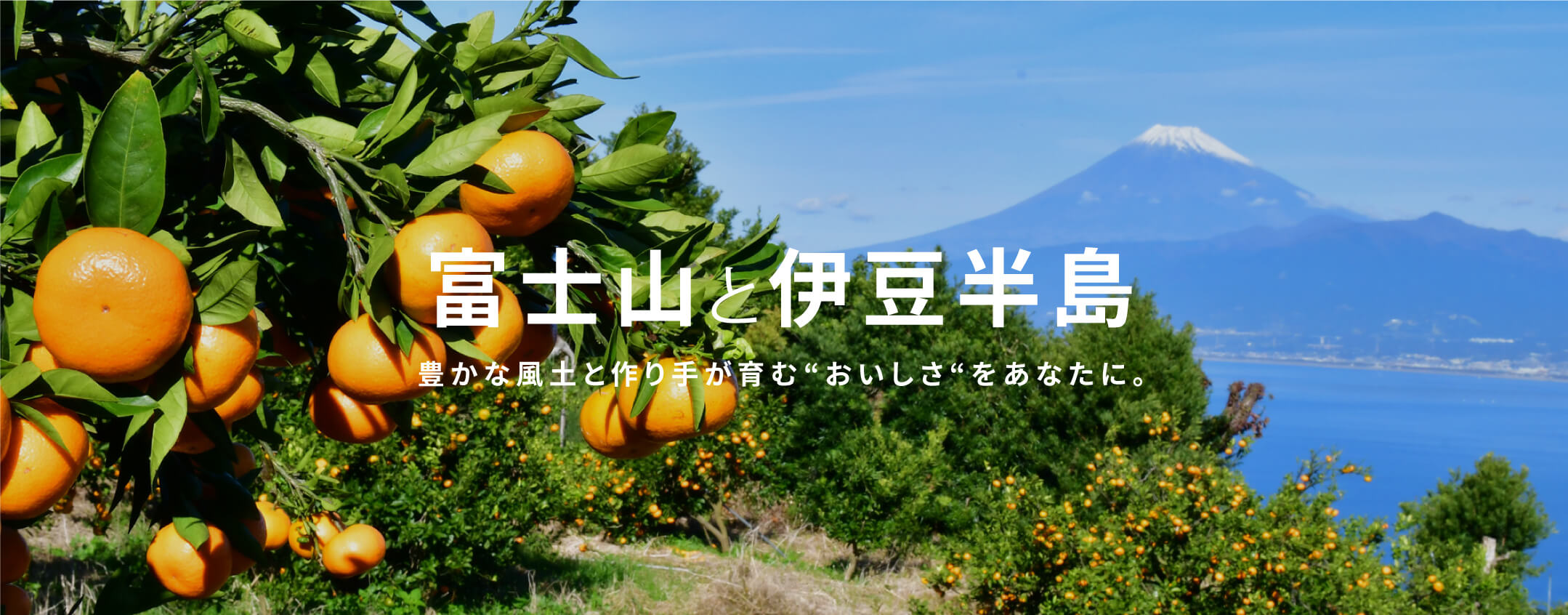 slide_01