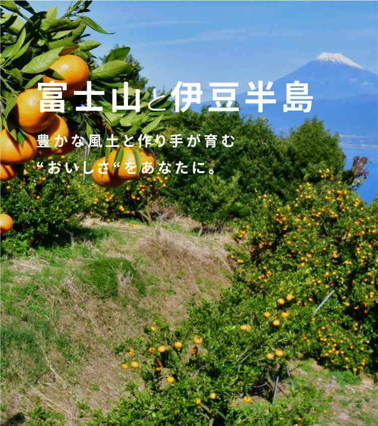 slide_01