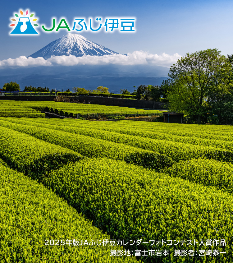 2025年版JAふじ伊豆カレンダーフォトコンテスト入賞作品_4月