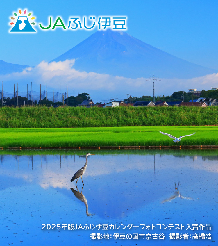 2025年版JAふじ伊豆カレンダーフォトコンテスト入賞作品_8月
