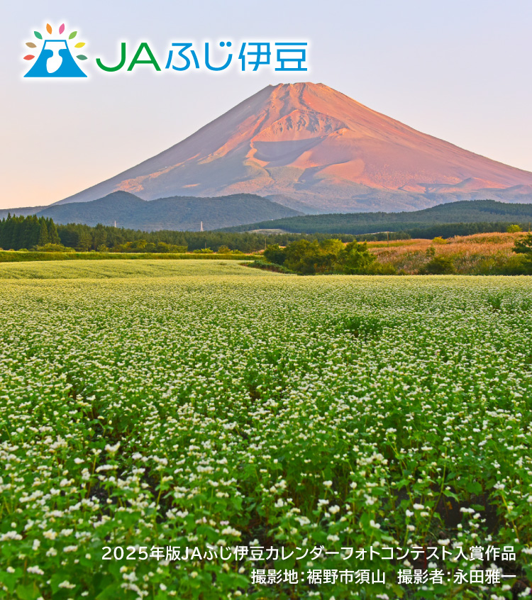 2025年版JAふじ伊豆カレンダーフォトコンテスト入賞作品_9月