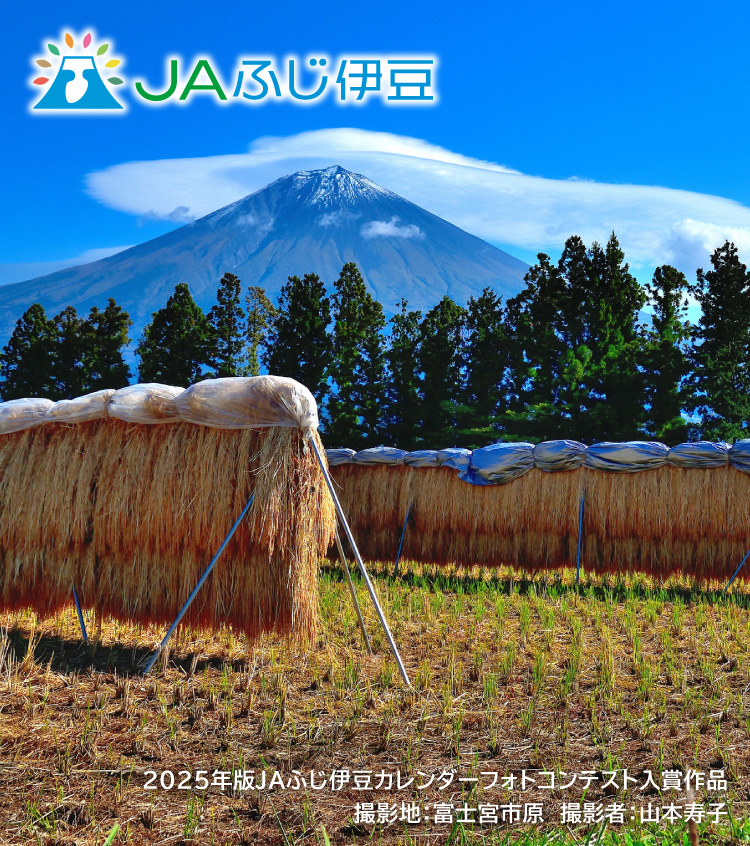 2025年版JAふじ伊豆カレンダーフォトコンテスト入賞作品_10月