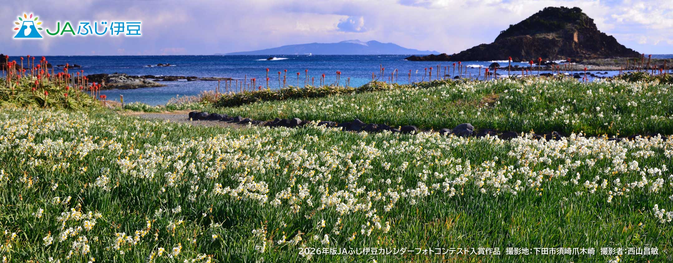 2026年版JAふじ伊豆カレンダーフォトコンテスト入賞作品_1月