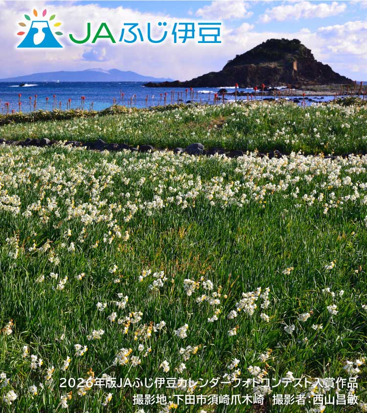 2026年版JAふじ伊豆カレンダーフォトコンテスト入賞作品_1月