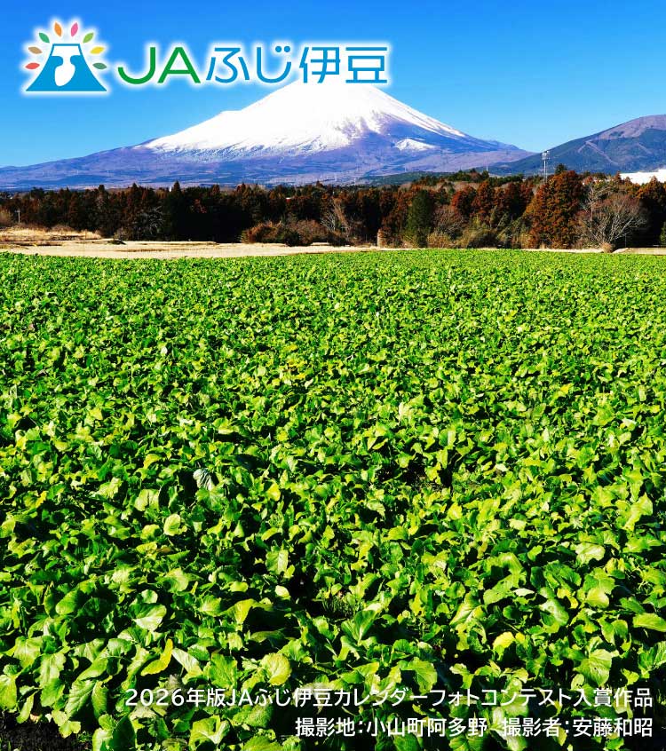2026年版JAふじ伊豆カレンダーフォトコンテスト入賞作品_2月
