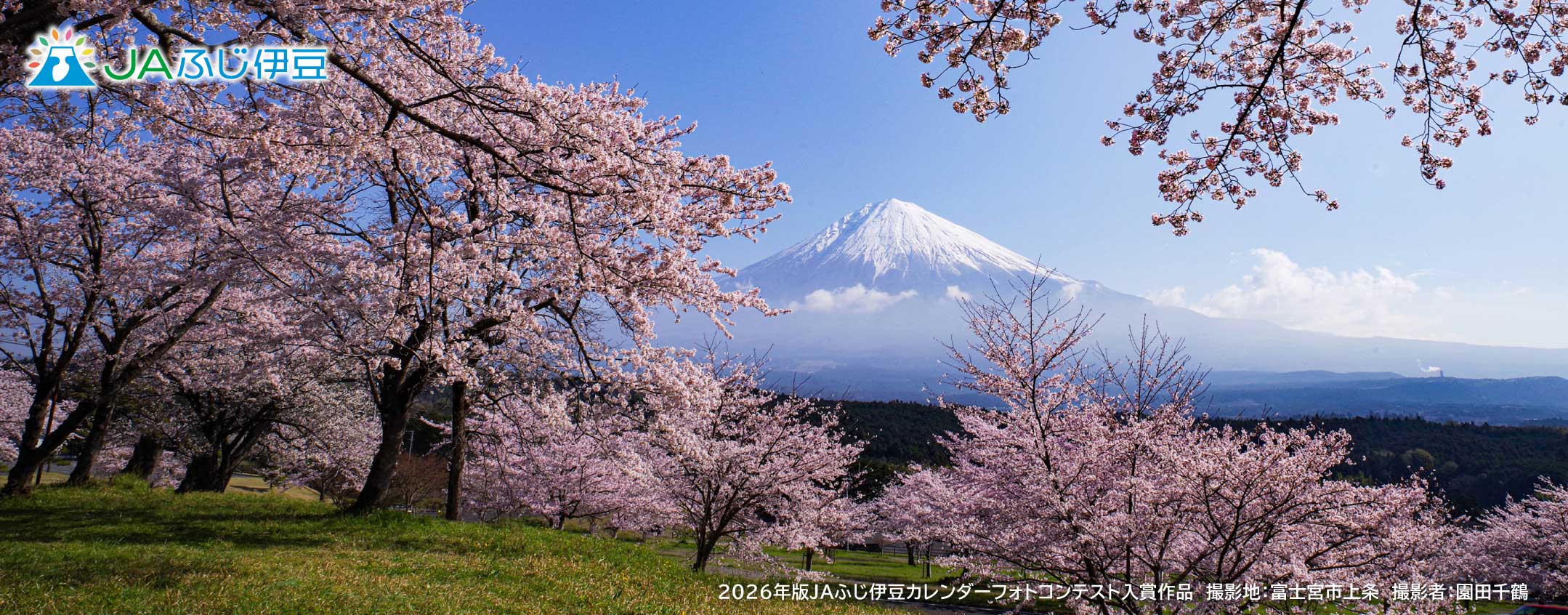 2026年版JAふじ伊豆カレンダーフォトコンテスト入賞作品_3月