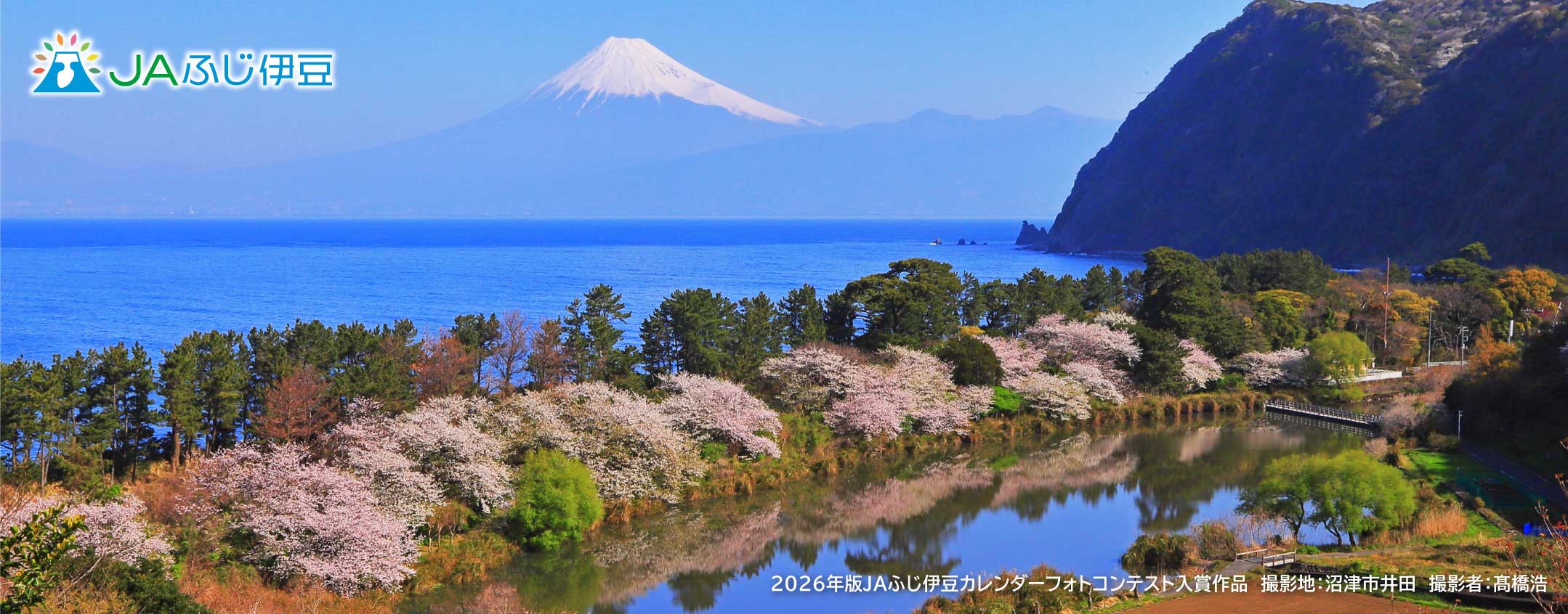 2026年版JAふじ伊豆カレンダーフォトコンテスト入賞作品_4月