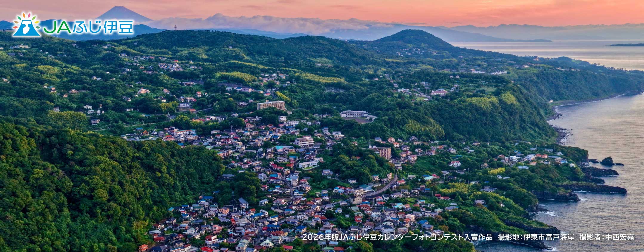 2026年版JAふじ伊豆カレンダーフォトコンテスト入賞作品_6月