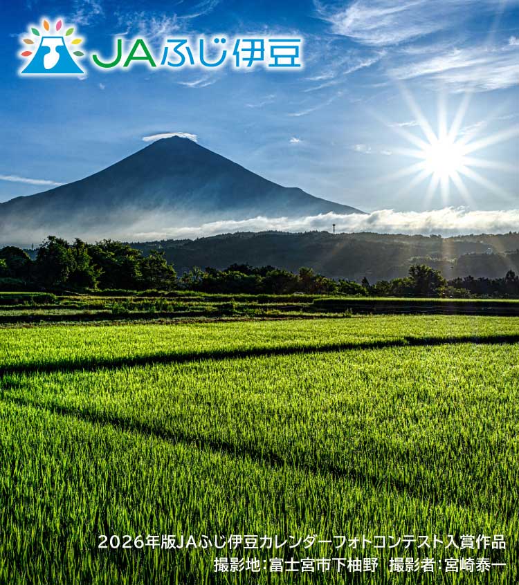 2026年版JAふじ伊豆カレンダーフォトコンテスト入賞作品_7月