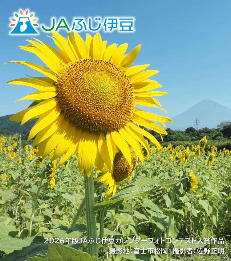 2026年版JAふじ伊豆カレンダーフォトコンテスト入賞作品_8月