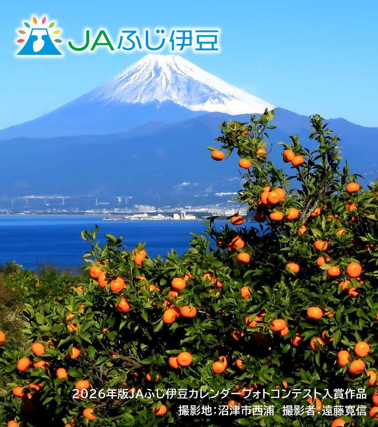 2026年版JAふじ伊豆カレンダーフォトコンテスト入賞作品_12月