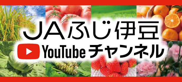 youtube公式チャンネル