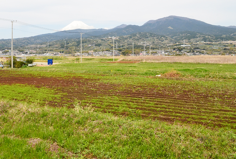 農地に関する相談