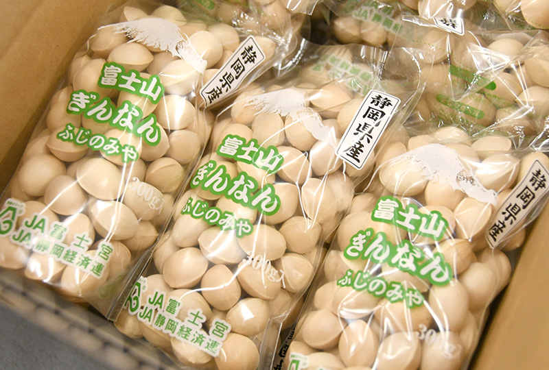 その他野菜_富士山イチョウ娘