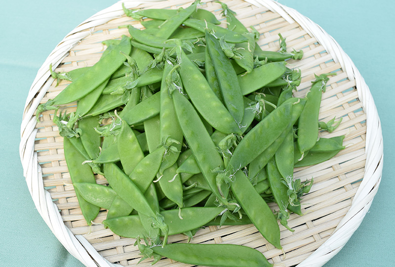 その他野菜_伊豆きぬさやえんどう