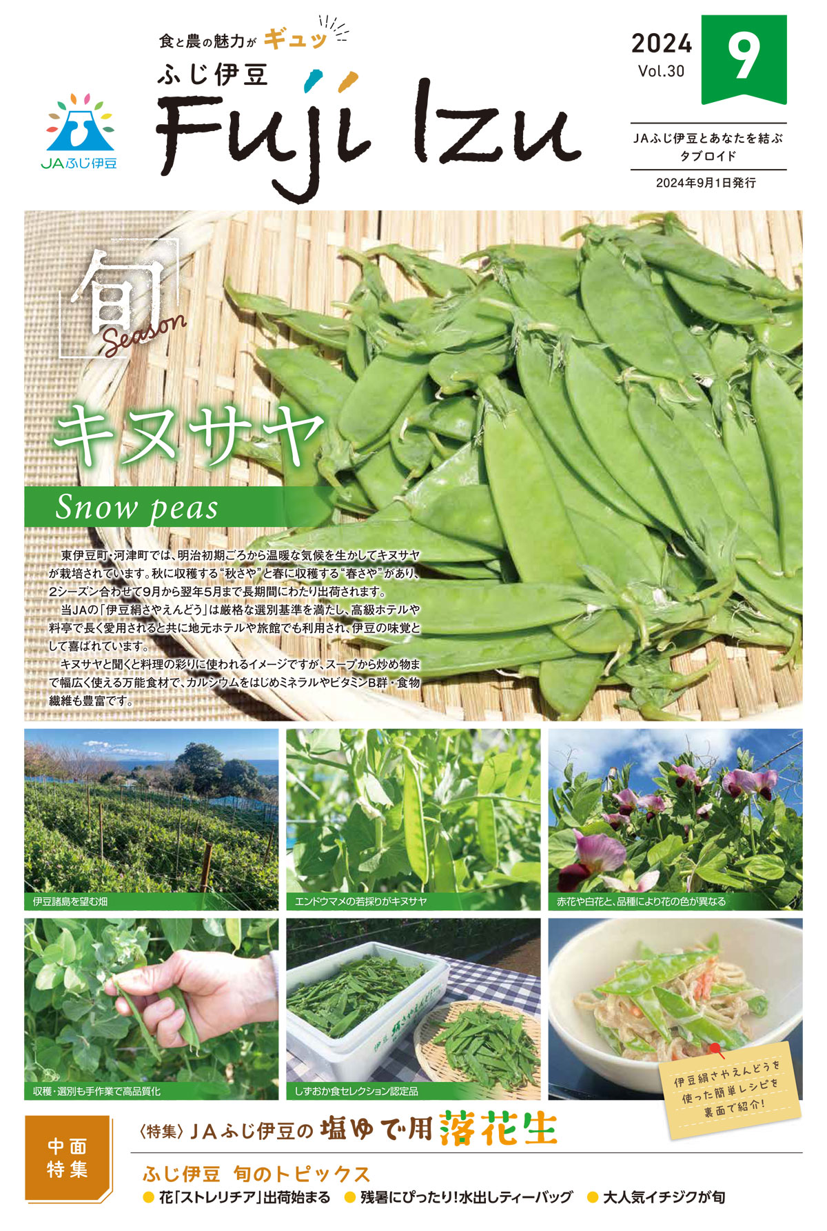 広報誌R6.9月号表紙