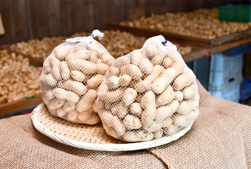 その他野菜_富士山麓落花生