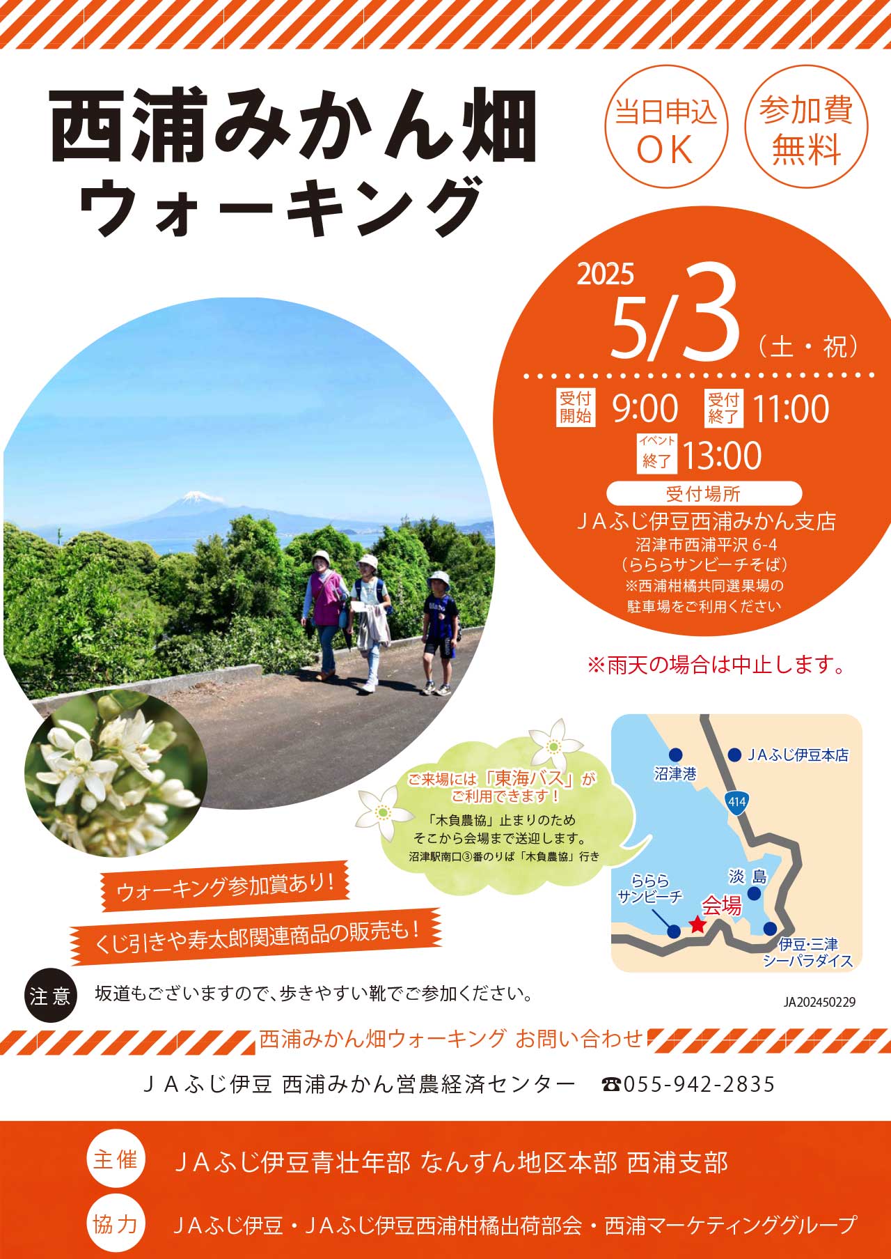 【採番】みかん畑ウォーキングチラシ2025