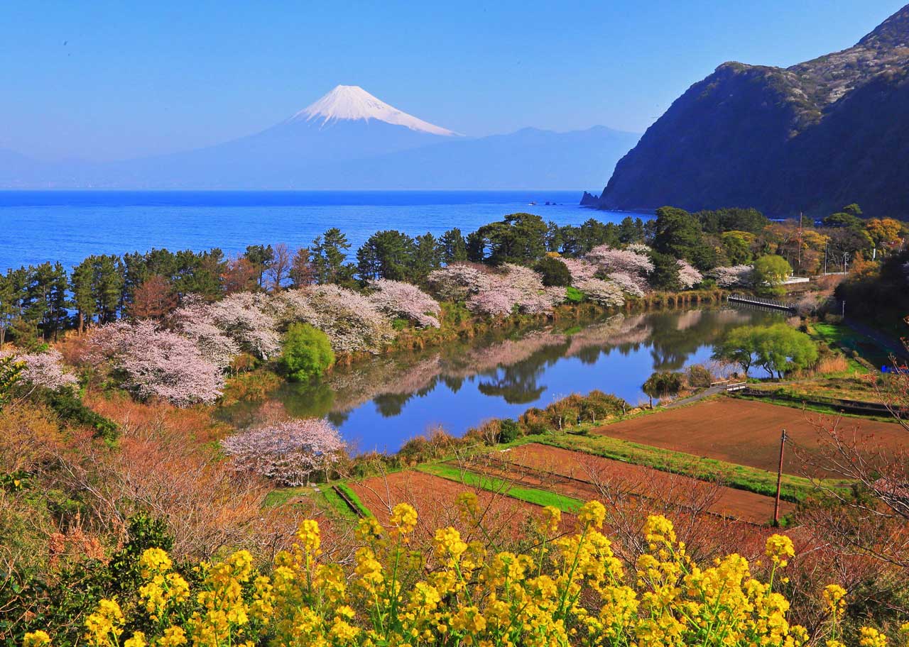 4月-花咲く彼方に