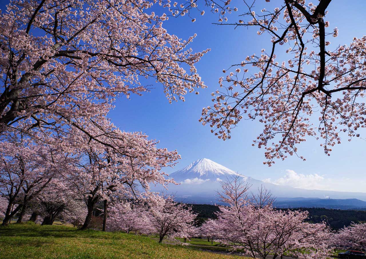 3月-春爛漫