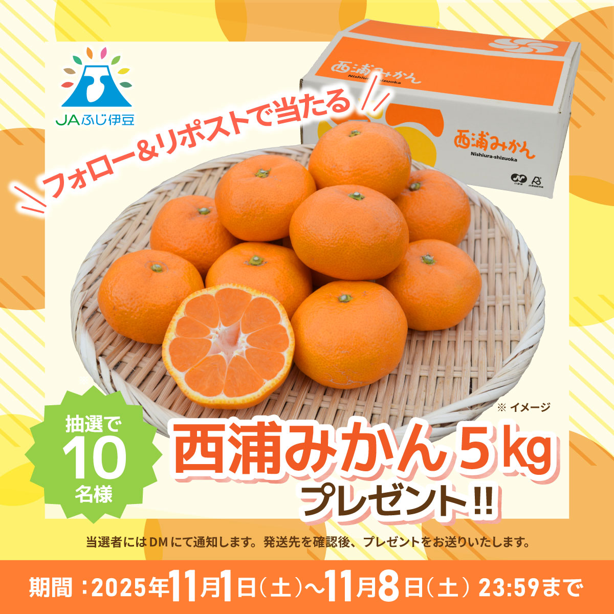 XプレゼントCP_西浦みかん