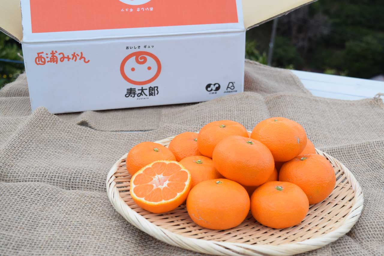 1月号プレゼント写真