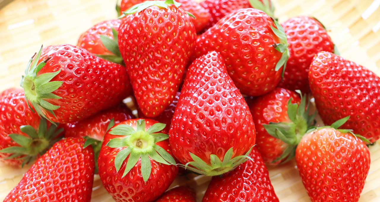 プレゼントイチゴ写真