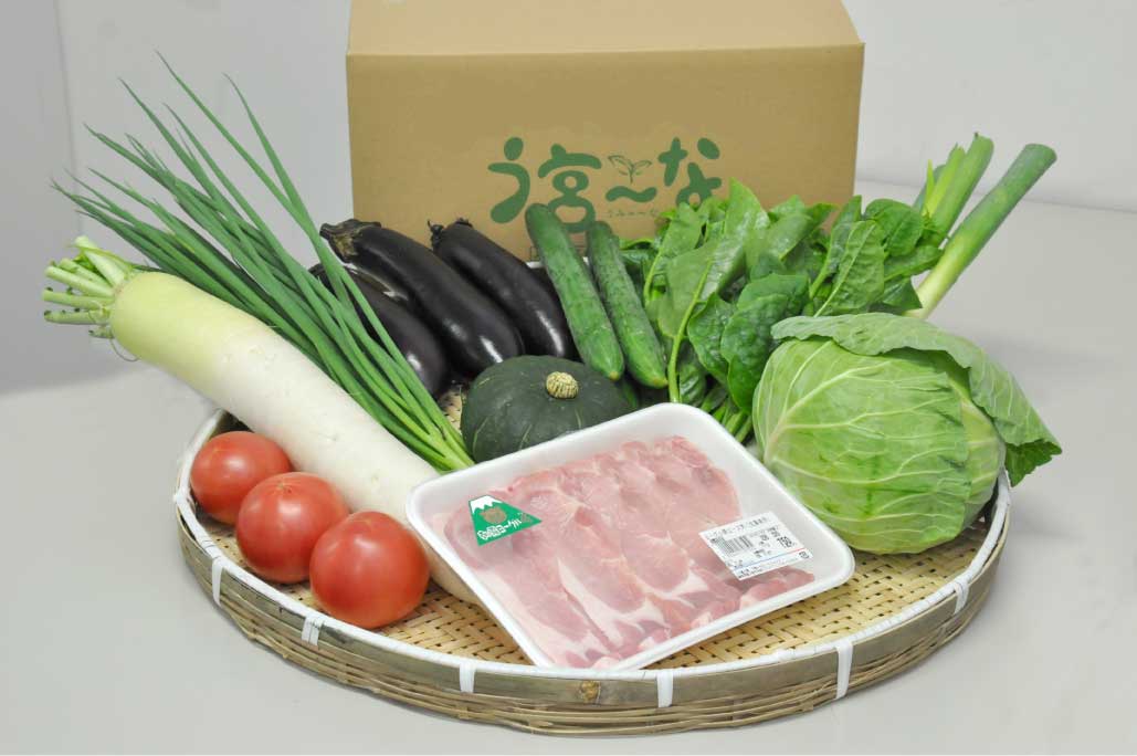 加工済P4-7【プレゼント】う宮~な野菜&お肉の詰め合わせセット---コピー