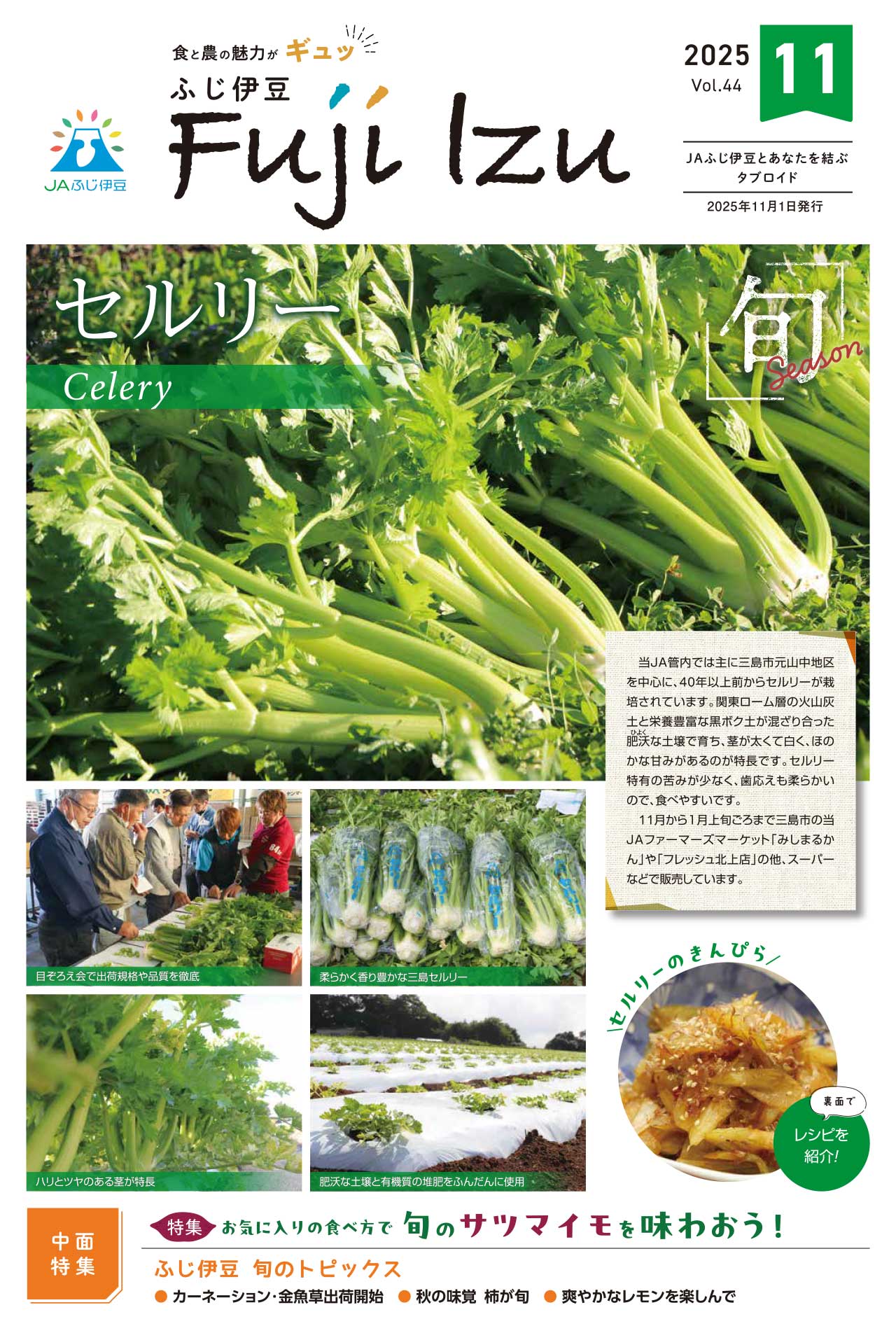 11月号表紙